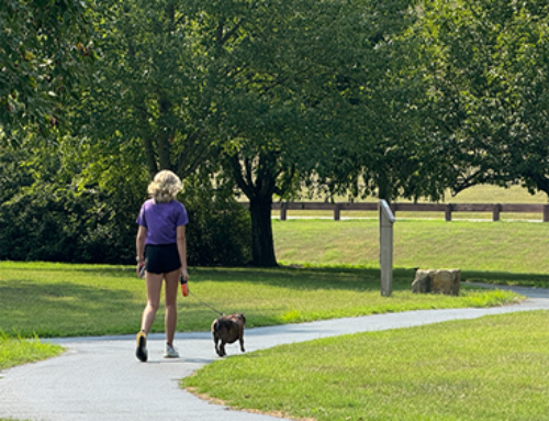 Pike County Active Transportation Plan