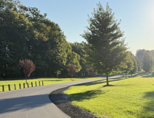 Active Transportation Grant Writing Services